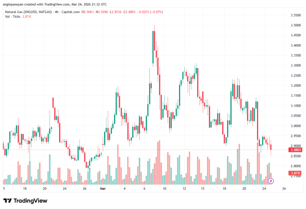 تحليل الغاز الطبيعي NATURAL GAS 25-03-2026