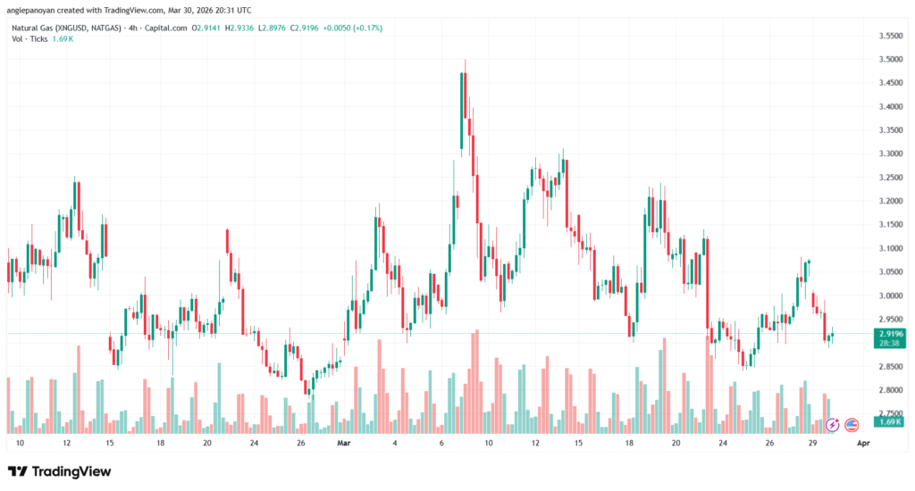 تحليل الغاز الطبيعي NATURAL GAS 31-03-2026