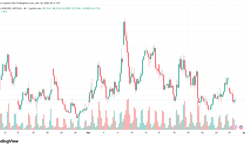 تحليل الغاز الطبيعي NATURAL GAS 31-03-2026