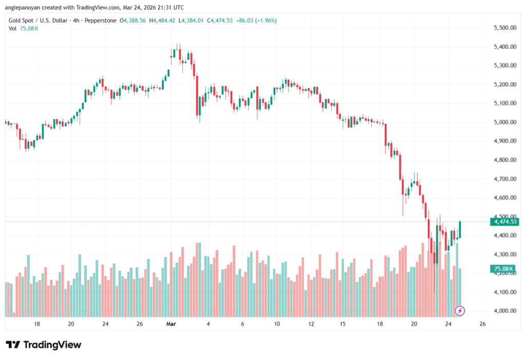 تحليل الذهب-XAUUSD-25-03-2026