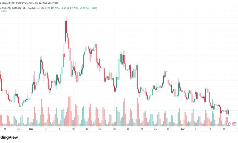 تحليل الغاز الطبيعي NATURAL GAS 13-04-2026
